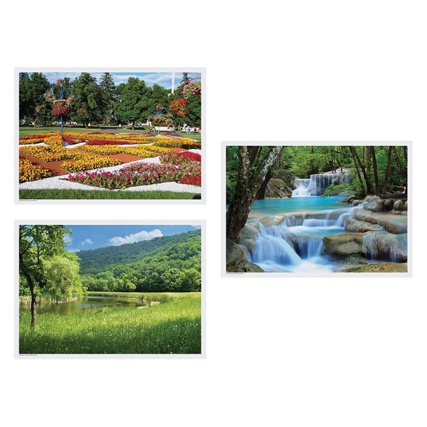 Hoffmaster 10" x 14" Summer Multipack Paper Placemats, PK1000 702077
